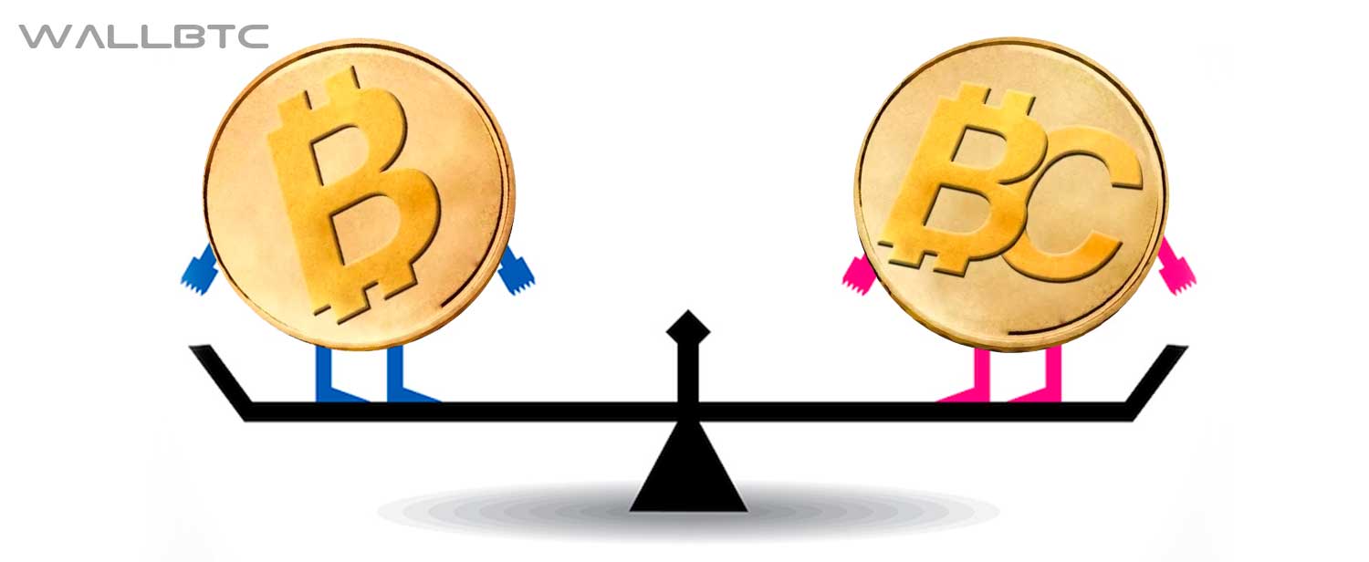   : Bitcoin Cash (BCH)