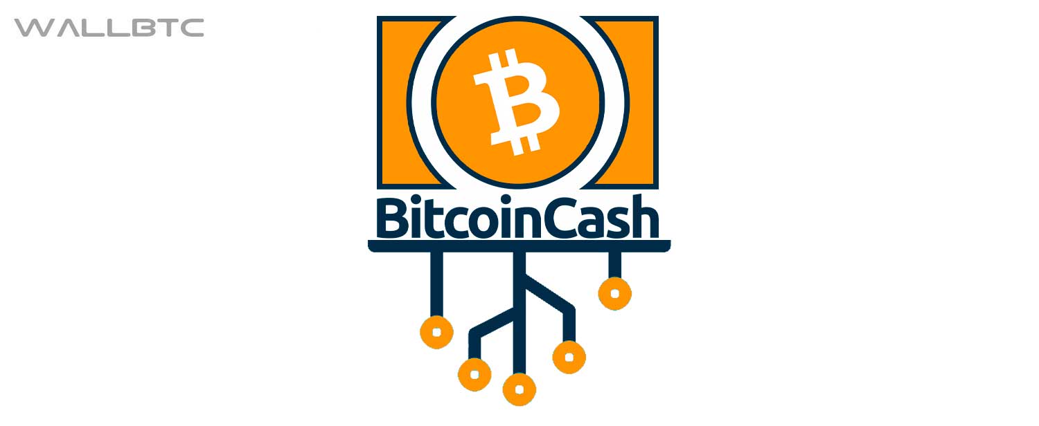 70     Bitcoin Cash