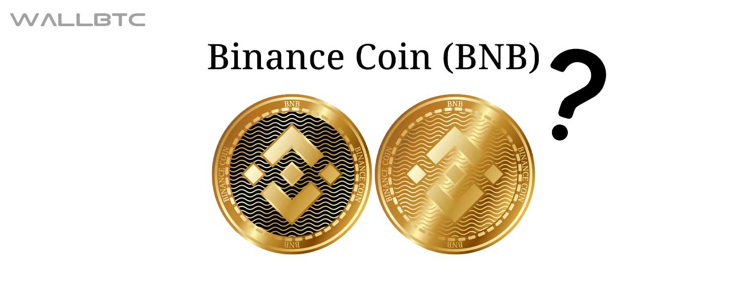    Binance Coin (BNB)  2020 