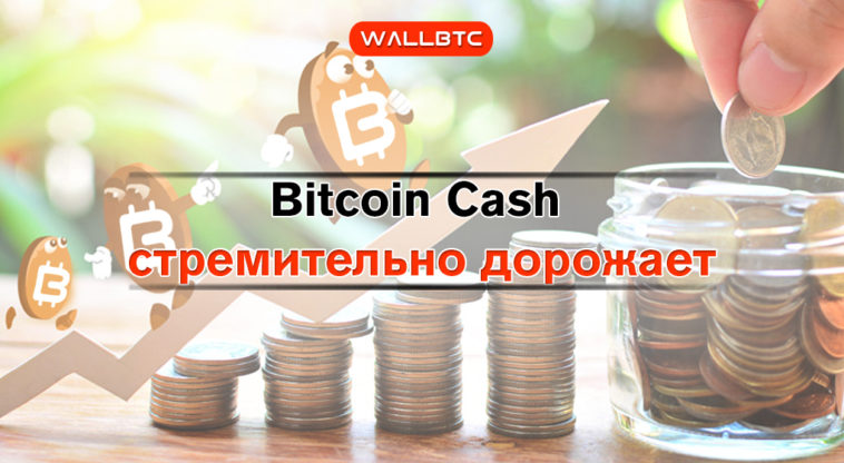 Bitcoin Cash демонстрирует стремительный рост
