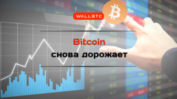 Bitcoin постепенно восстанавливается