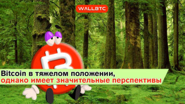 Bitcoin в тяжелом положении, однако имеет значительные перспективы