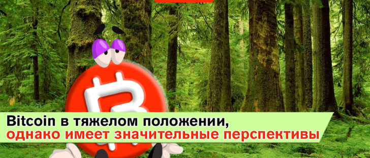 Bitcoin в тяжелом положении, однако имеет значительные перспективы