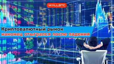 Криптовалютный рынок наконец отыгрался после падения