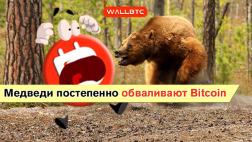 Медведи доминируют – Bitcoin обвалился ниже 8000 долларов