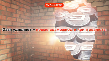 Новые обновления Dash: как упроститься жизнь пользователей