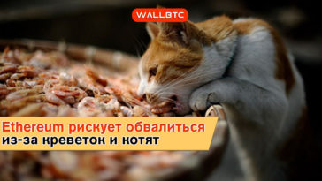 Виртуальные игры ведут к краху вторую криптовалюту