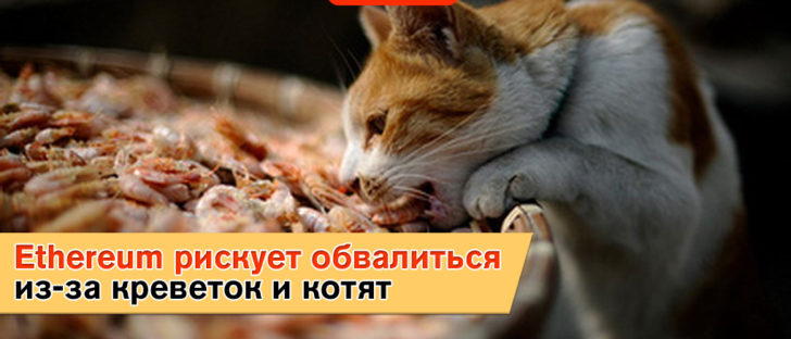 Виртуальные игры ведут к краху вторую криптовалюту