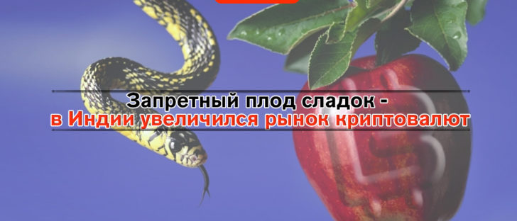 Запретный плод сладок – в Индии увеличился рынок криптовалют