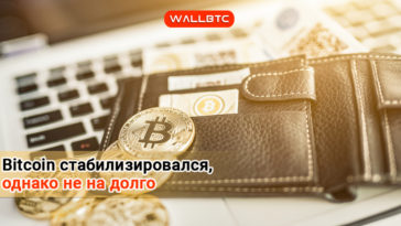 Bitcoin удерживается на отметке выше 6100 долларов