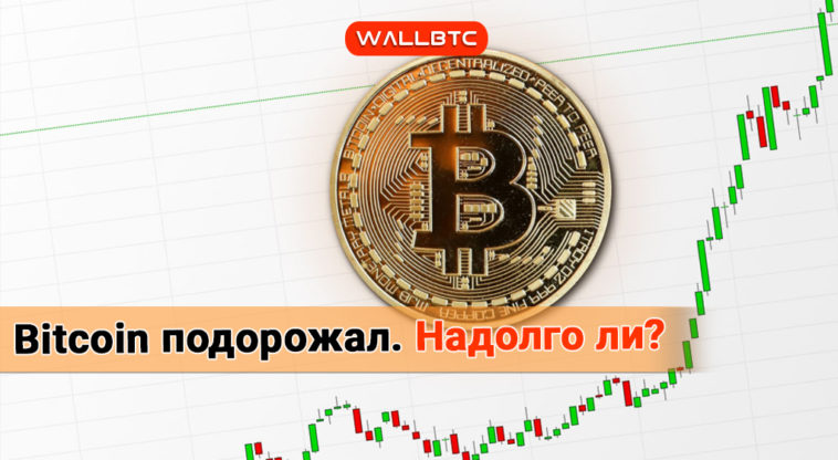 Курс Bitcoin немного укрепился. Что будет дальше?