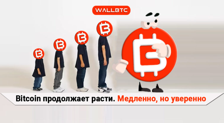 Курс Bitcoin постепенно растет. Чего ждать дальше?