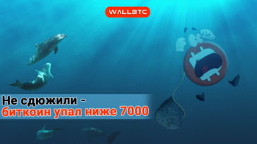 Самый крупный обвал монеты с февраля 2018