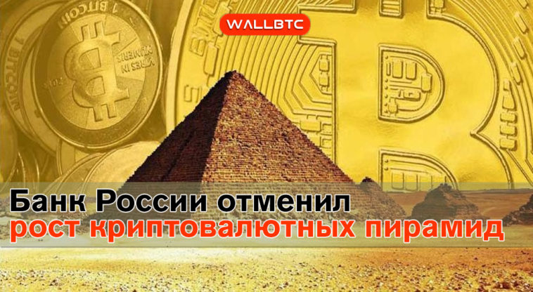 Банк России отметил рост количества криптовалютных пирамид