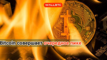 Bitcoin стремительно теряет позиции. В Чем причины?