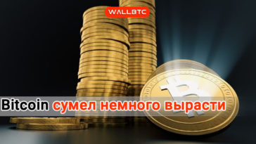 Bitcoin укрепляет собственные позиции
