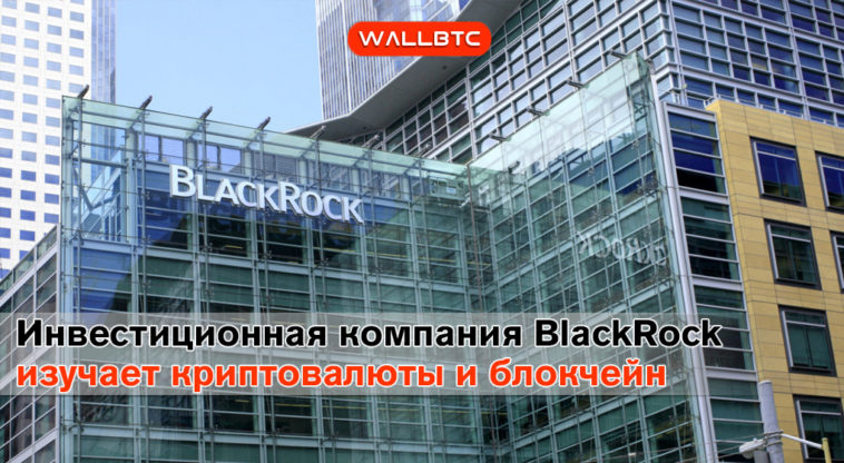 BlackRock планирует внедрить в свою работу блокчейн-технологии
