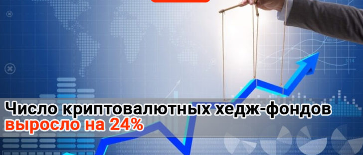 Число криптовалютных хедж-фондов выросло на 24%