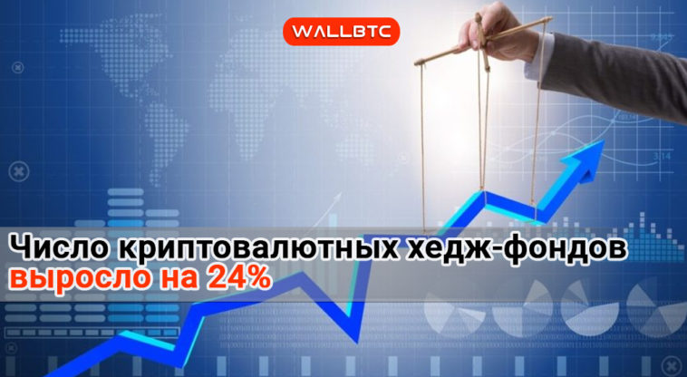 Число криптовалютных хедж-фондов выросло на 24%