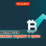 Стоимость Bitcoin приблизилась к 8000 долларов