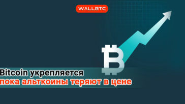 Стоимость Bitcoin приблизилась к 8000 долларов