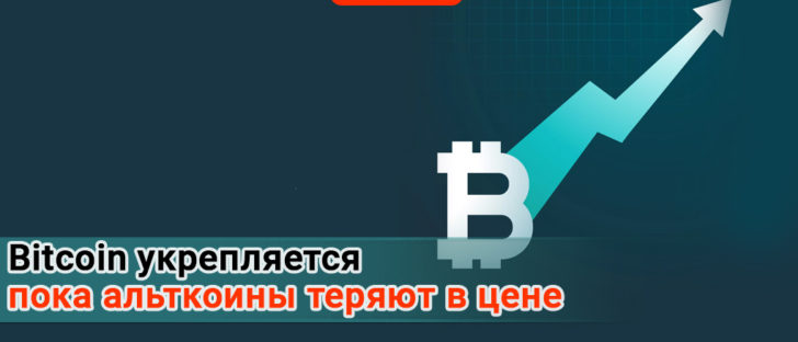 Стоимость Bitcoin приблизилась к 8000 долларов