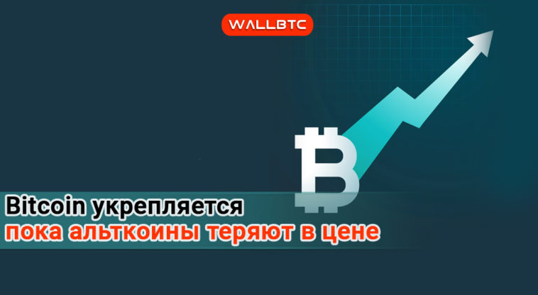 Стоимость Bitcoin приблизилась к 8000 долларов