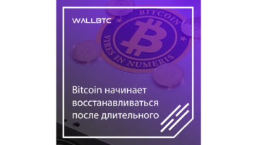 Bitcoin начинает восстанавливаться после длительного спада