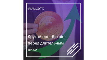После резкого роста Bitcoin ждет обвальное падение