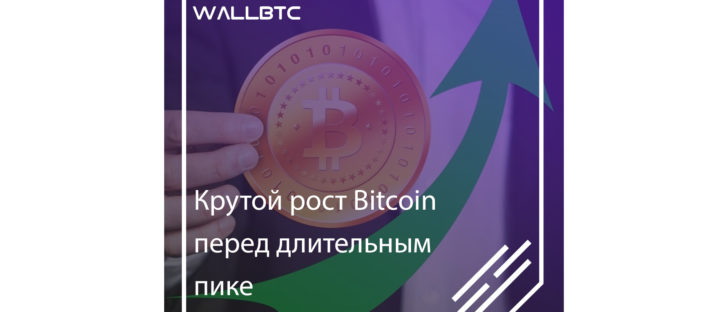 После резкого роста Bitcoin ждет обвальное падение