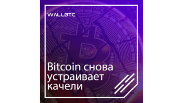 Bitcoin подешевел после небольшого роста
