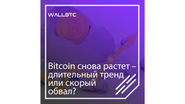 Bitcoin снова растет – длительный тренд или скоры обвал