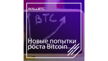 Bitcoin стабилизировался на отметке, близкой к 6500 долларов