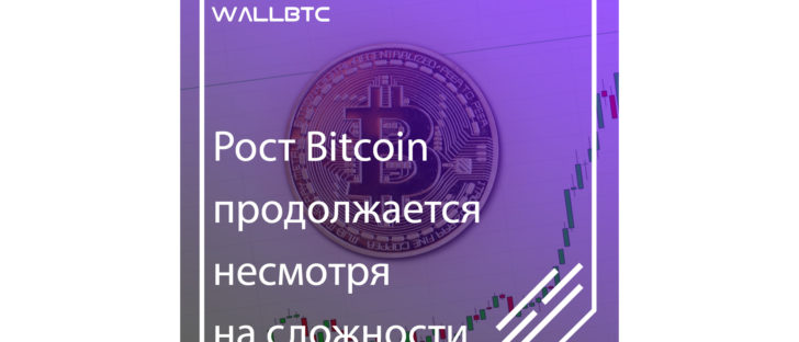 Bitcoin удерживается на отметке выше 7200 долларов и может начать рост