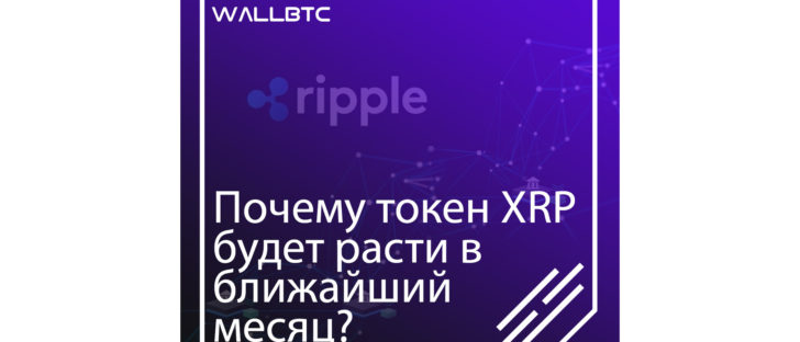 Причины роста токенов Риппл в ближайший месяц