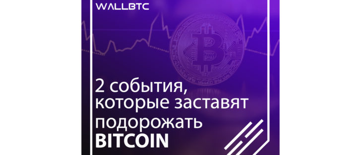 Запуск Bitcoin-ETF поднимет курс Биткоина