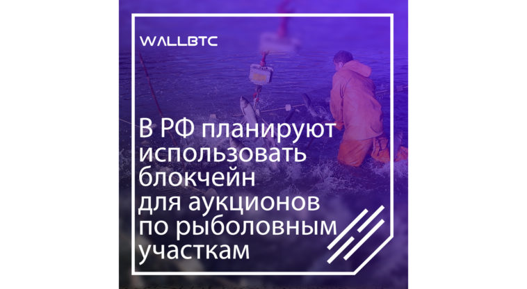 РФ: использование технологии блокчейн на аукционах рыбоводных участков