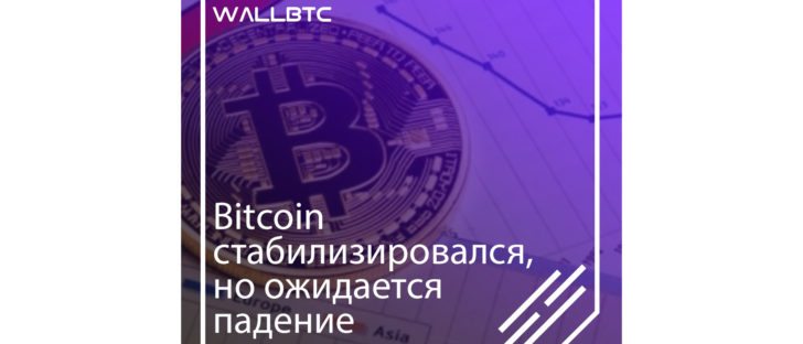 Bitcoin стабилизировался на отметке 6600 долларов