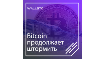 Bitcoin вырос, однако сегодня курс может упасть