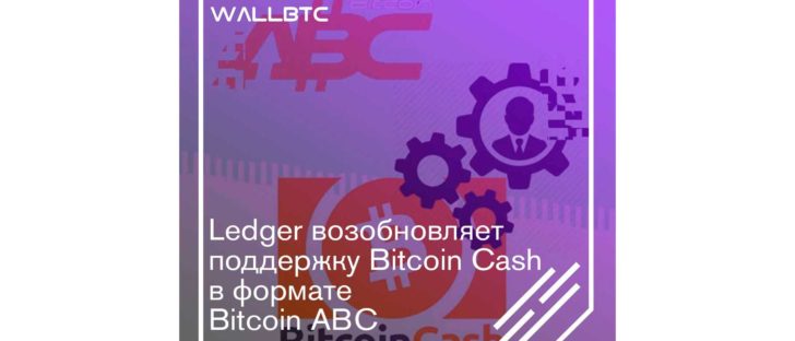 Bitcoin Cash - новая жизнь
