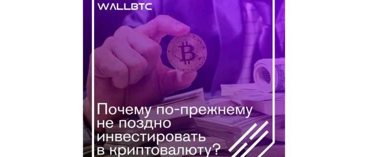 Криптовалюта остается инвестицией в будущее