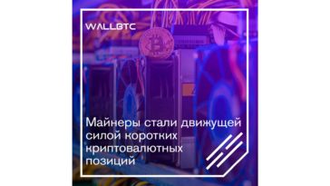 Майнеры - движущая сила криптовалютного мира