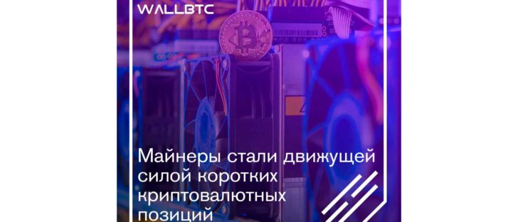 Майнеры - движущая сила криптовалютного мира