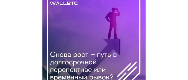 Новый рост Bitcoin – сможет ли монета укрепиться