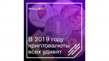 В 2019 году криптовалюты всех удивят