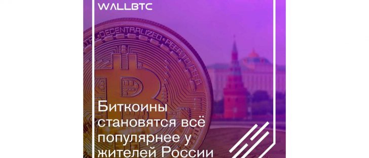 В России биткоин набирает популярность