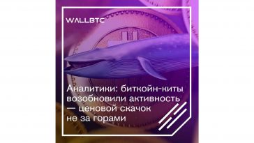 Аналитики: биткойн-киты возобновили активность — ценовой скачок не за горами