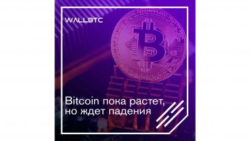 Bitcoin пока растет, но ждет падения