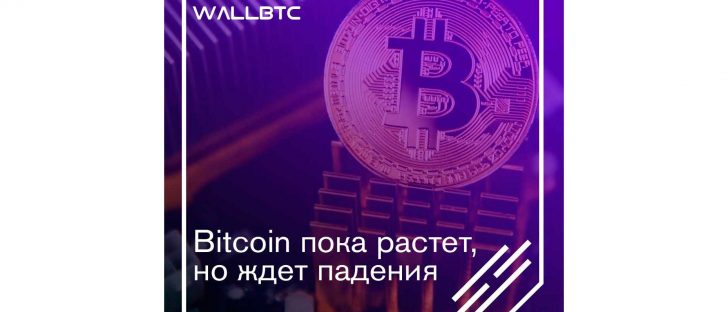 Bitcoin пока растет, но ждет падения