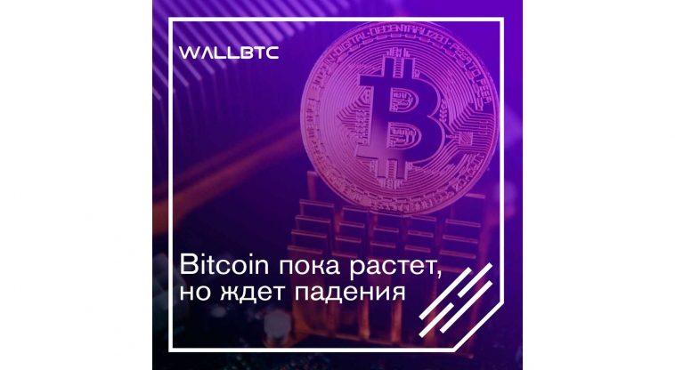 Bitcoin пока растет, но ждет падения